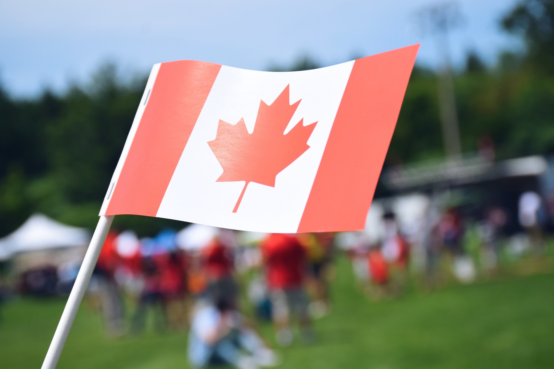 Navigating the Future: Canada’s Strategic Move to Stabilize International Student Growth